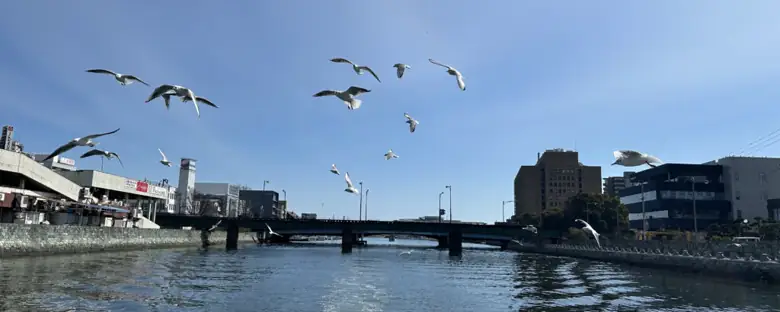 川から眺める徳島の街並み